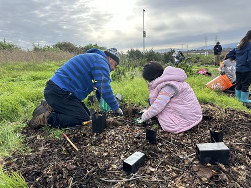 Planting Native Plants in our community on a Saturday